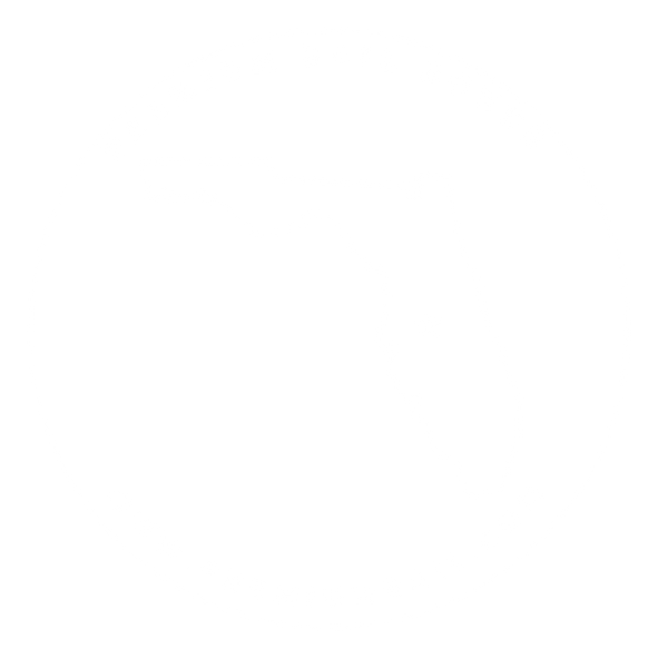 Premium Bail Bond logo that links to premiumbail.com